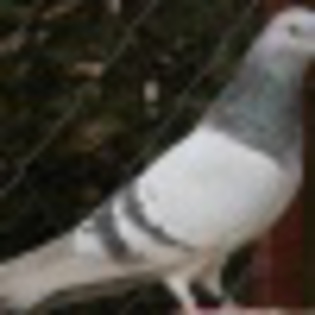 261012_100001229540357_1160678435_q