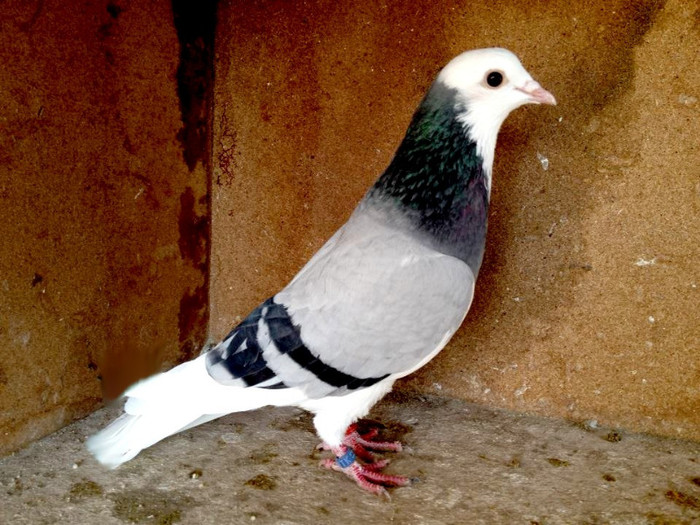 486656_548733941820750_1712218581_n