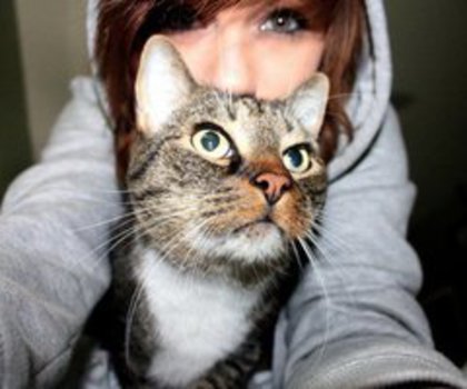 248255_231380476879243_1900770_n_thumb