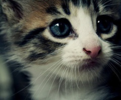 55098795413116042_ZqMEKy9z_c_thumb