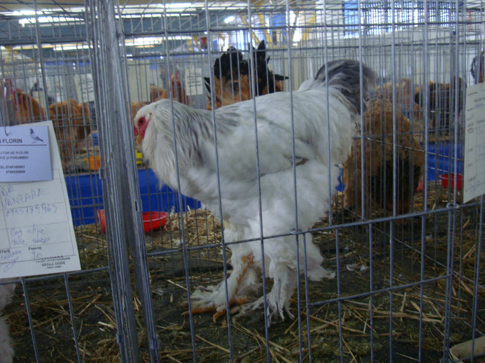 DSC08750