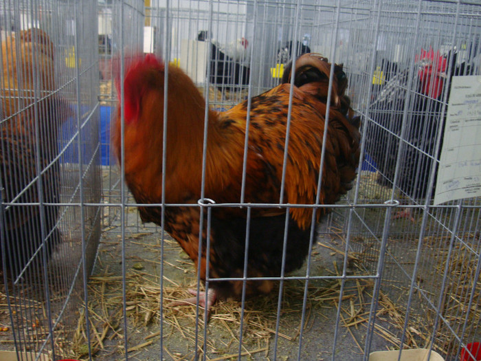 DSC08758