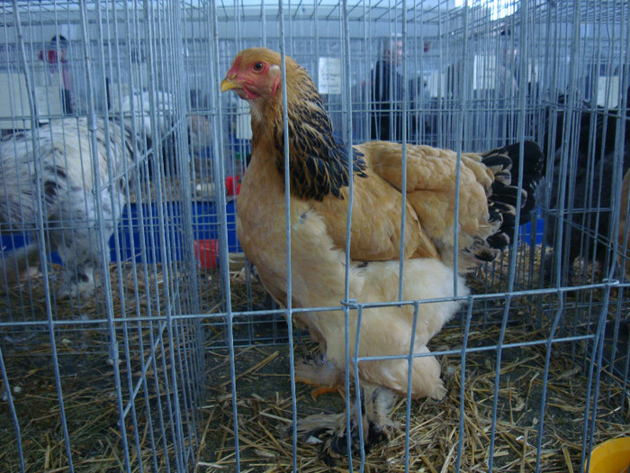 DSC08780