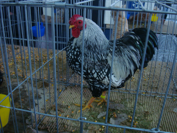 DSC08814