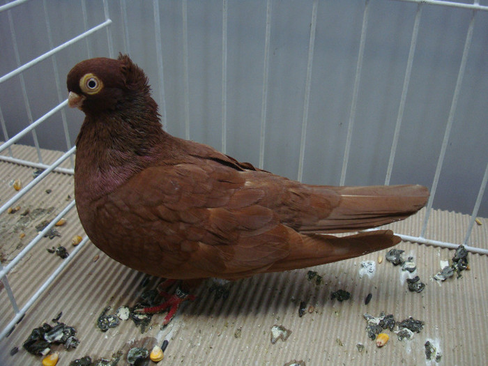 DSC08852