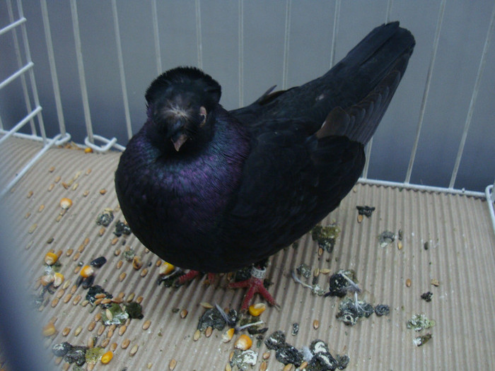 DSC08857