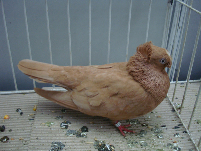 DSC08863