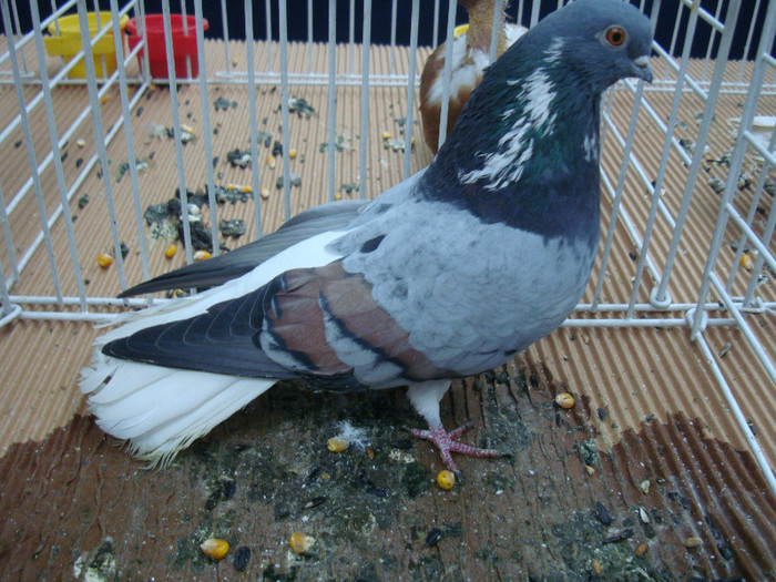 DSC08870