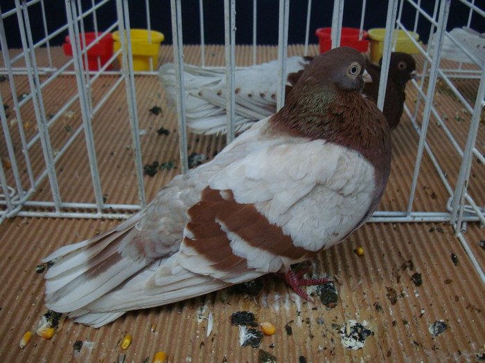 DSC08873