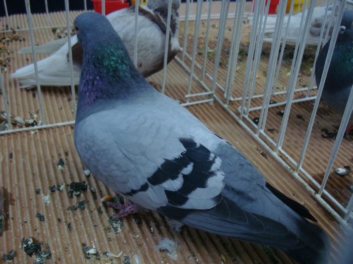 DSC08876