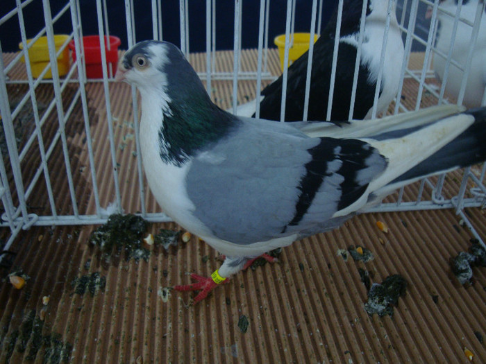DSC08886