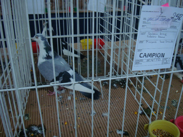 DSC08887