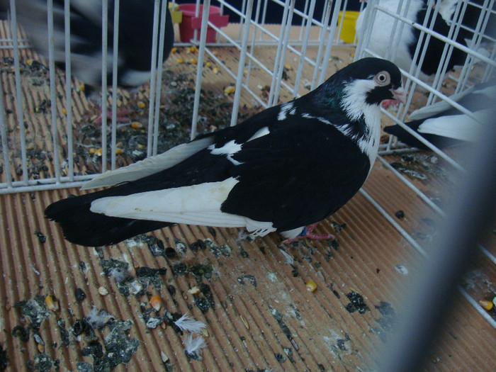DSC08889