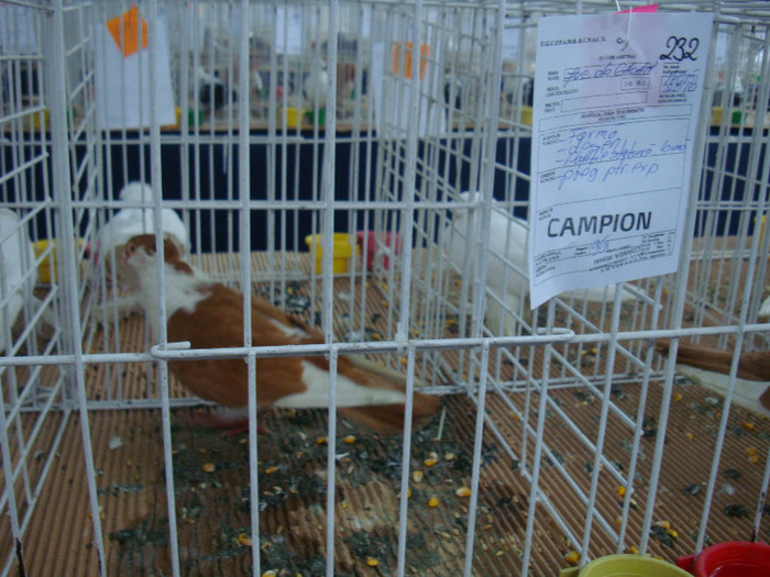 DSC08896