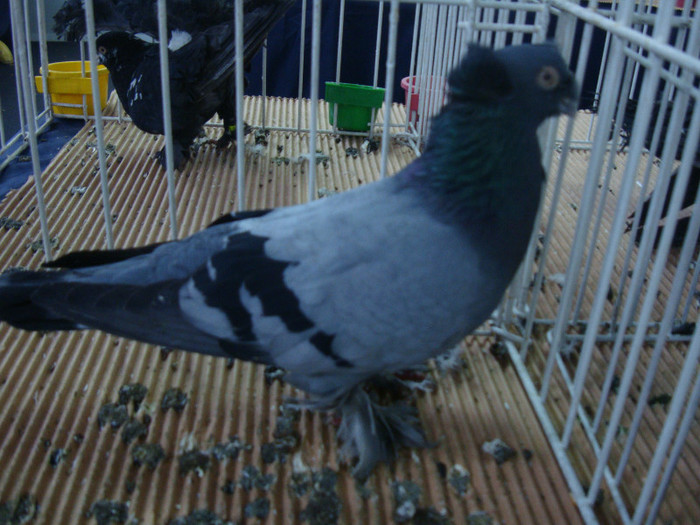 DSC08899