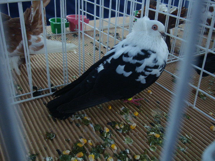 DSC08907
