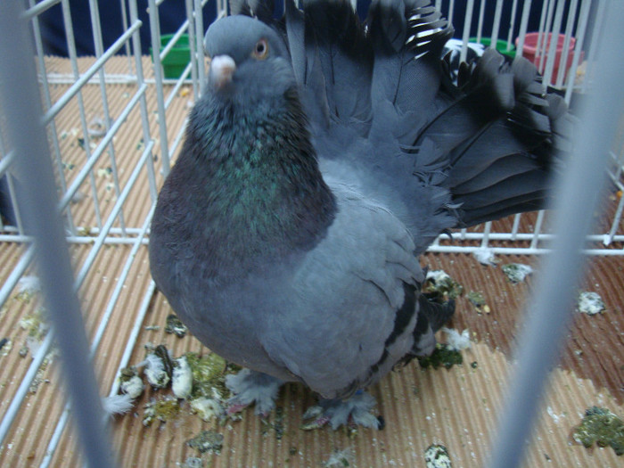 DSC08931