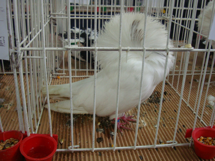 DSC08940