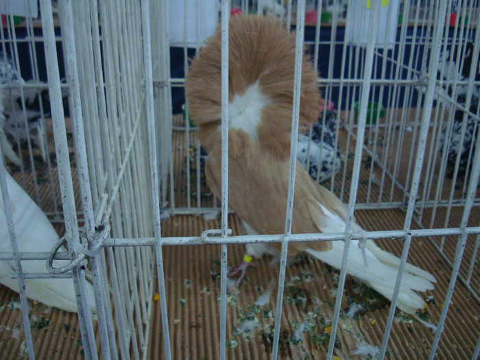 DSC08944