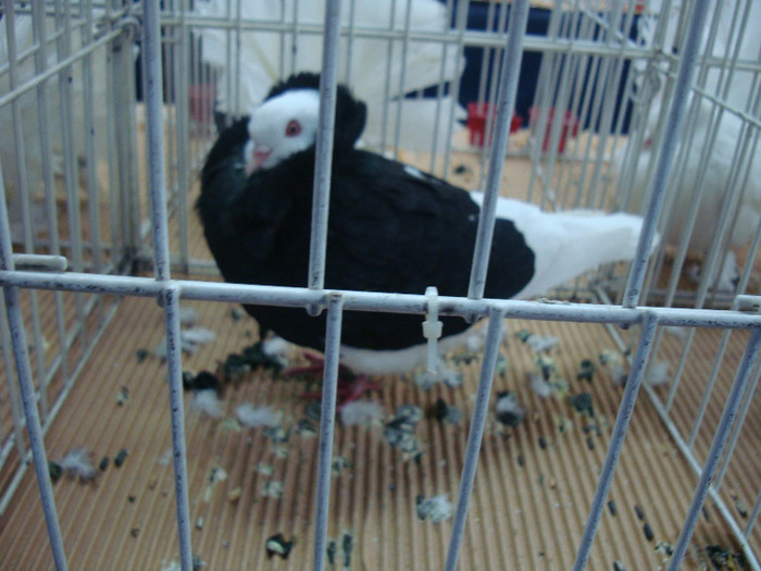 DSC08953