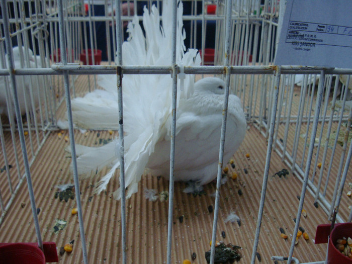 DSC08958