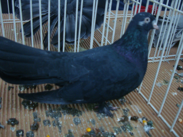 DSC08965
