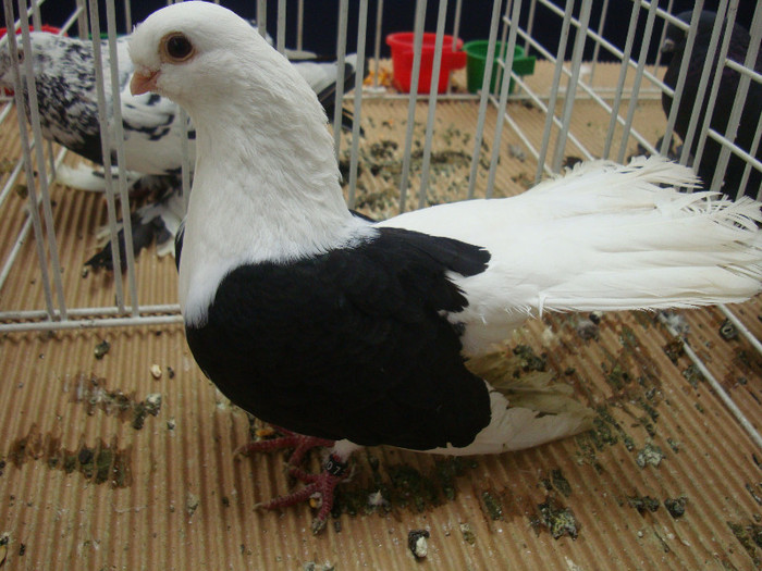 DSC08969