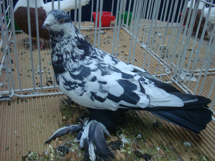DSC09000