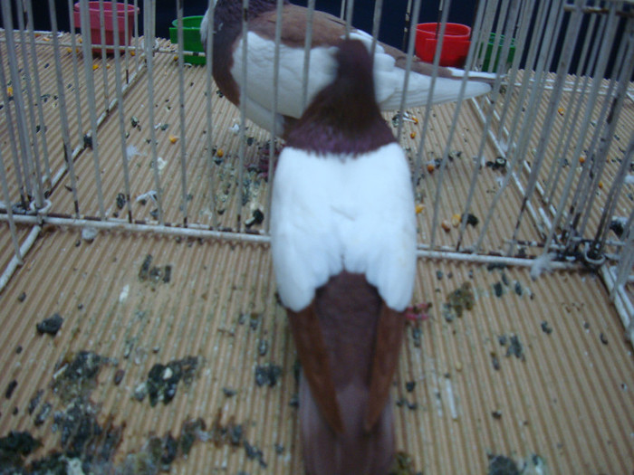 DSC09014