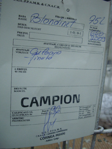 DSC09017