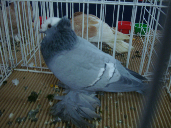 DSC09020
