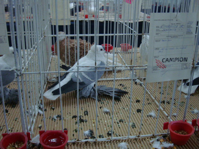 DSC09033