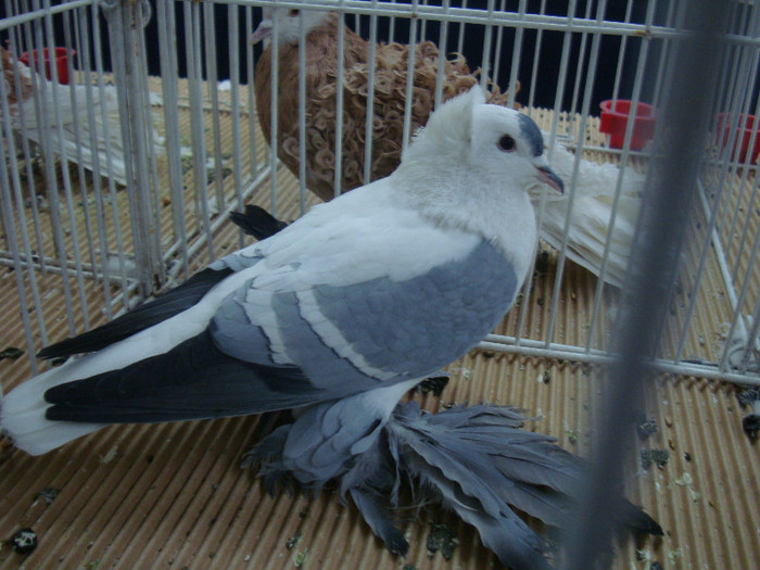 DSC09035
