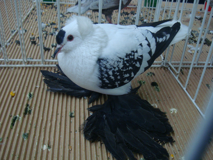DSC09038