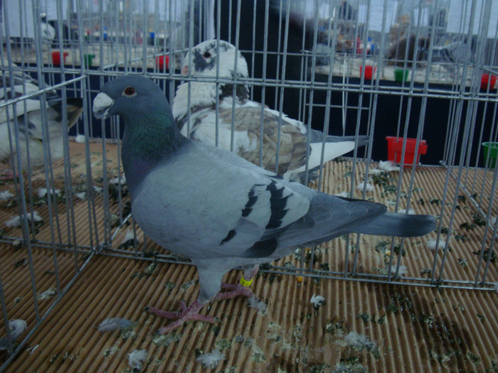 DSC09042