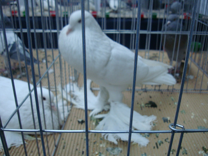 DSC09051