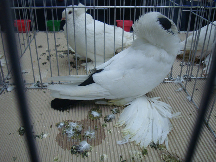 DSC09061