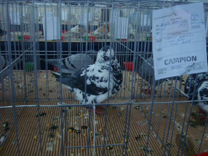 DSC09068