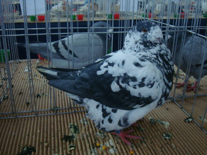 DSC09071