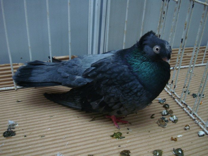 DSC09074