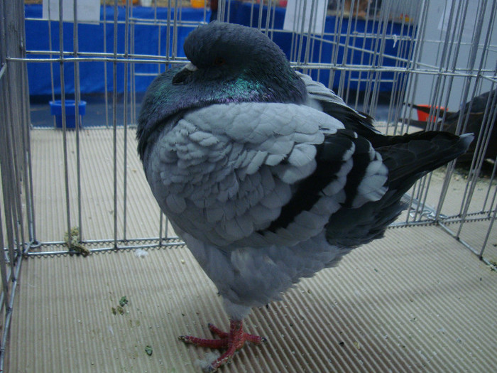 DSC09082
