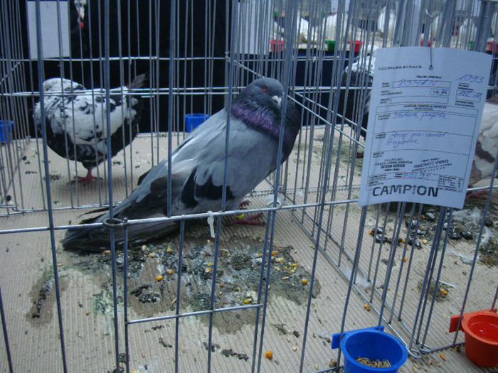 DSC09095