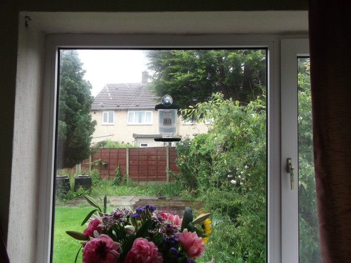 vedere din sufragerie spre gradina din spate