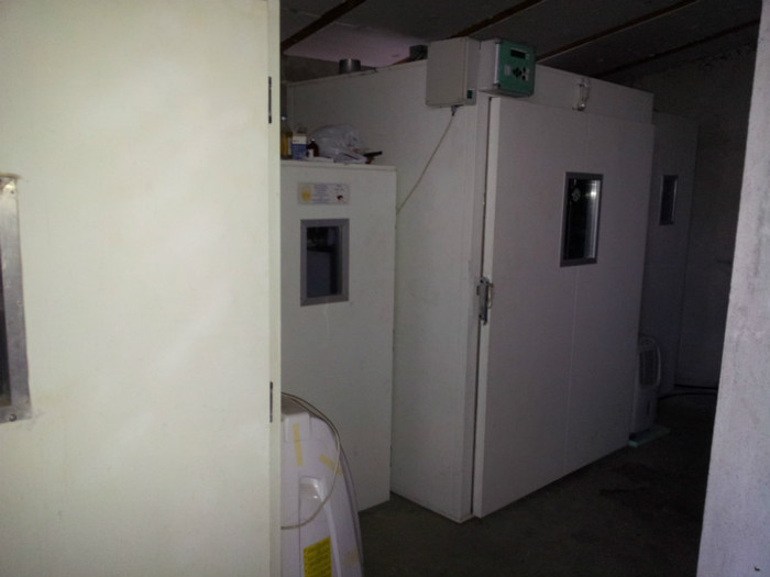 poze ferma struti 070; incubatoare oua de strut
