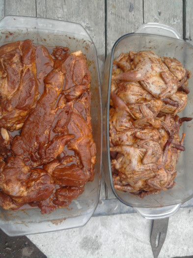 Prepelite   purcelus