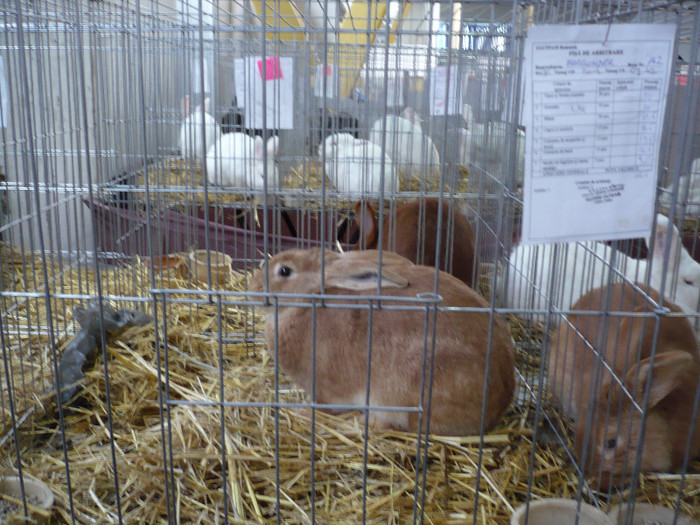 P1040041