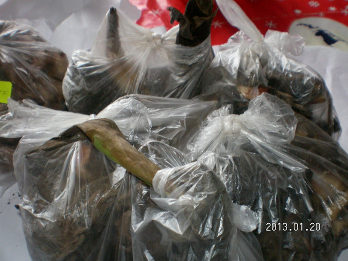 SANY4267; cana cred alb.galben ,roz ..
