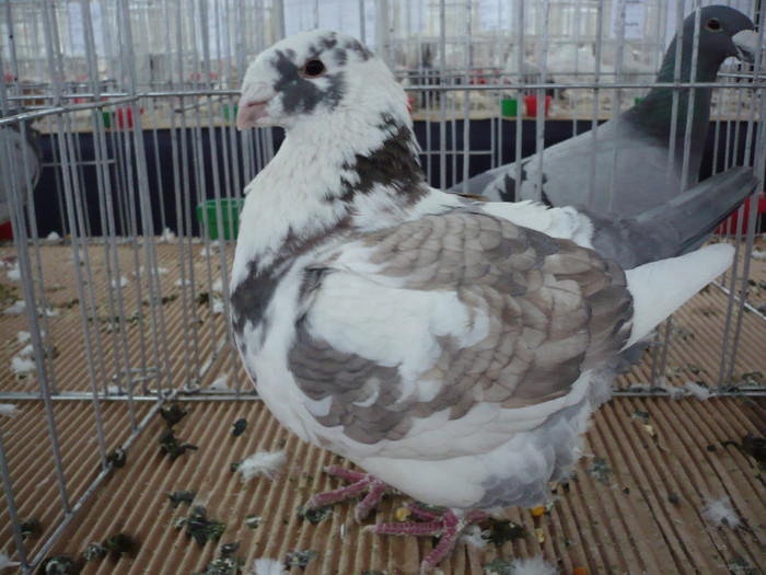 P1040155
