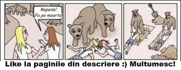 1143_454023841325534_936475344_n