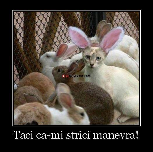 543918_453449964716255_680570771_n